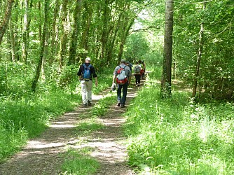 Circuit du Bois de la Bulière