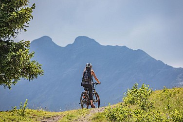 Mountain bike trail n°55 - Rochebrune