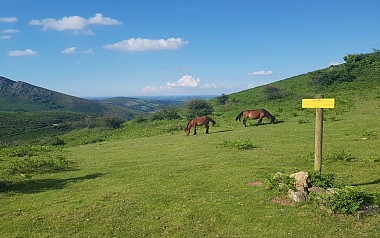 Le sentier des contrebandiers - De Sare à Biriatou - équestre