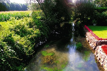 image du circuit