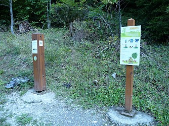 Parcours thématique : Sapicéa