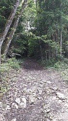 Path to the "Fairies House"