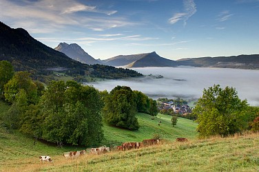 Aller cyclo : Col de Leschaux