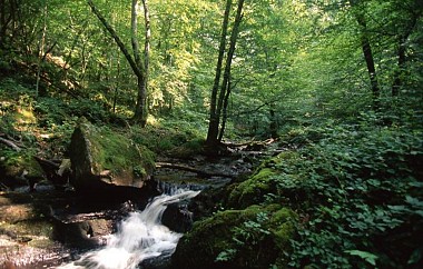 Le moulin neuf - PR n°14