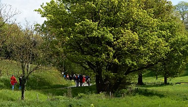 BOURGNEUF-LA-FORET / Circuit du bocage