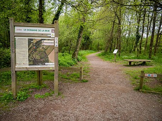 Sentier de la nature du domaine de la Beue de Lépido le papillon