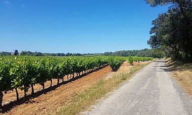 BOUCLE CYCLO N°1 - CASTRIES ET LA PLAINE DE LUNEL