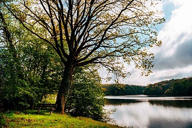 Circuit de l'Étang de Tronçais