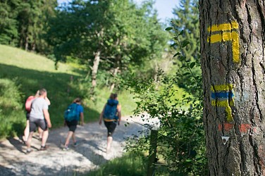 Le moulin de la Rode