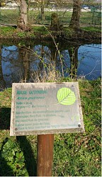 Balade à roulettes : Parc Mandavit