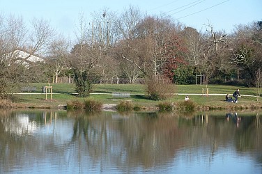 Balade à roulettes : Parc Jozereau