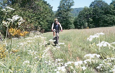 CIRCUIT ROUGE 6 - ESPACE VTT-FFC SALVETAT  / HAUT LANGUEDOC