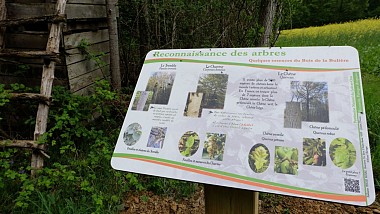 Circuit le circuit du Bois de la Bulière à Bouffry