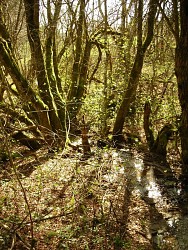 Aux sources du Viaur