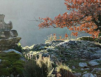 La Chapelle Saint-Cyrice