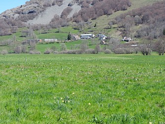 Tour Col de Serre – Puy de Niermont
