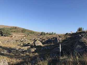 Parcours trail 4 - L'écir hivernal