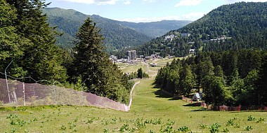 Veyrière wood
