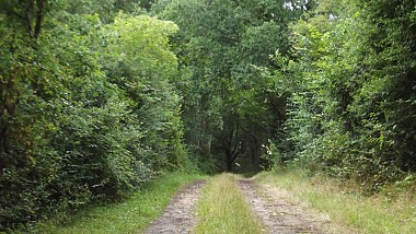 Circuit du chemin Perré