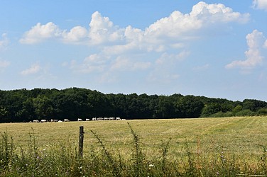 Circuit de la Taille d'enfer
