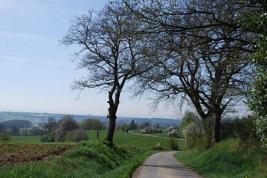 image du circuit