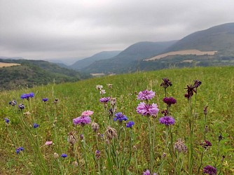 A walking tour around Clipis via the Frégière