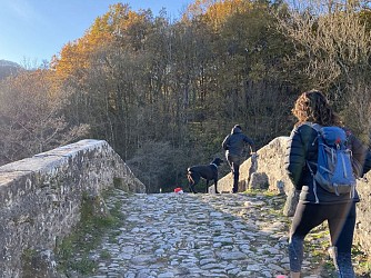 The Sagnasse short hiking trail