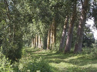 Circuit pédestre Le Lancier
