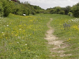 Sentier pédestre Les Falaises