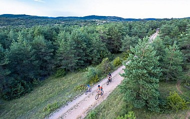 VTT N°14 - From la Baraque Froide to La Blaquèrerie