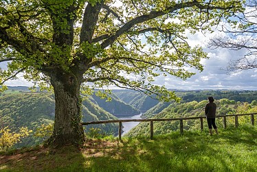 Cyclo - Circuit sportif Plateau bortois - 63 km