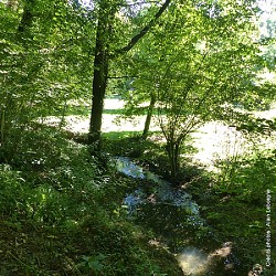 Sentier à travers la vallée de l'Orange