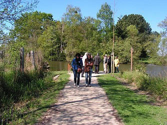 Walking trail of the swamps