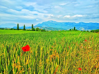 Les Balcons de St Paul