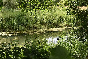 Sentier des Iles de Bonny