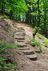 Us trail 2 : the avison or hill d