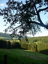 VTT n°12 - L'Inter'Vall