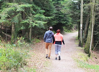 N°15 - the loop of steaumont