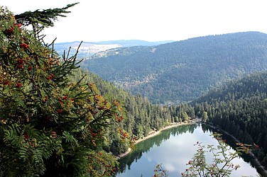 Trail circuit n°4 la roche du lac depuis le haut des bluches