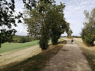 LA BOUCLE DES FILHOLS - VILLEMUR SUR TARN