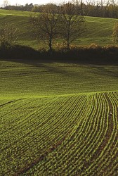 The valley of gardens