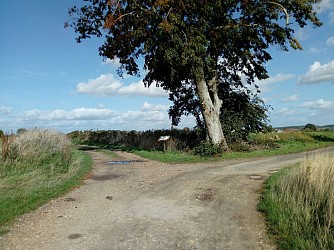 circuit Les Jeunes Pousses