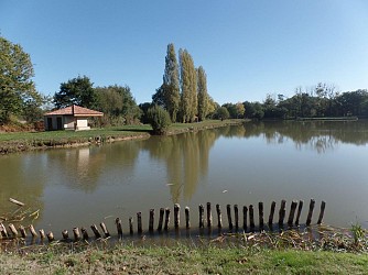 Circuit pédestre la Colline des Châtaigniers