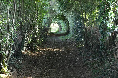 Circuit pédestre le sentier Saint Roch