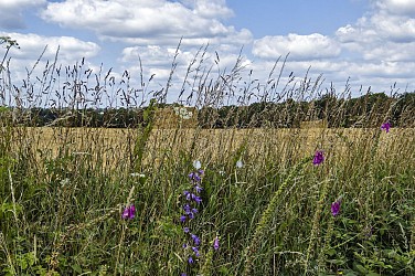 Balade et randonnée VELO - Circuit de Goué
