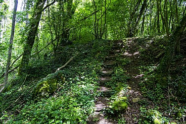 Circuit des collines