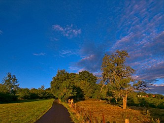 The hillsides of the Messin region