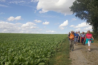 Balade à la découverte de Boignée