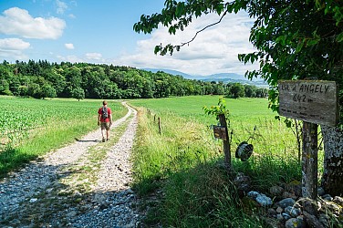 Walking track "Les chemins d'Angely"