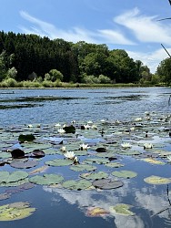 Walk around the Mole's Lake